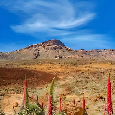 Cozy Loft With Stunning Sea View Palm-mar