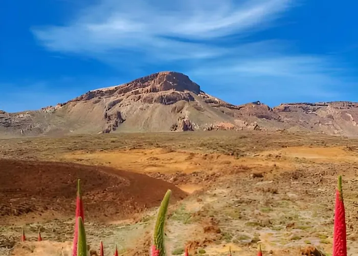 Cozy Loft With Stunning Sea View פאלם-מאר